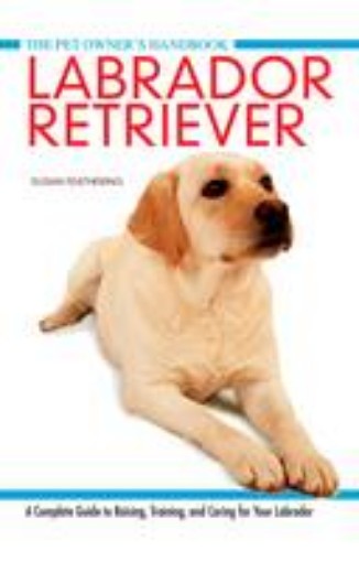 Picture of Labrador Retriever