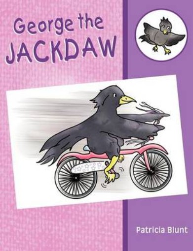 Picture of George the Jackdaw