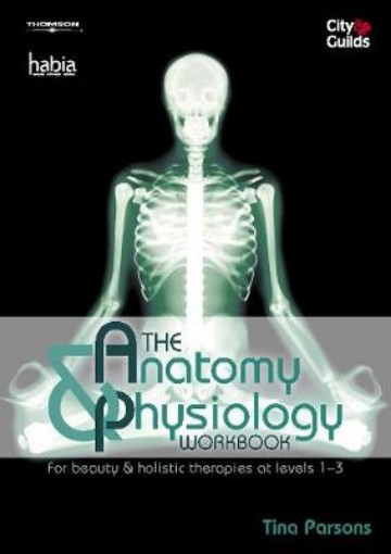 Picture of Anatomy & Physiology Workbook