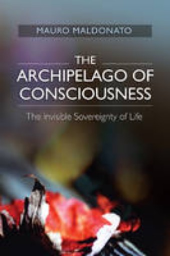 Picture of Archipelago of Consciousness
