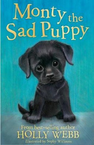 Picture of Monty the Sad Puppy