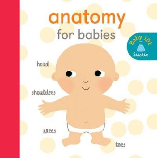 Picture of Anatomy for Babies