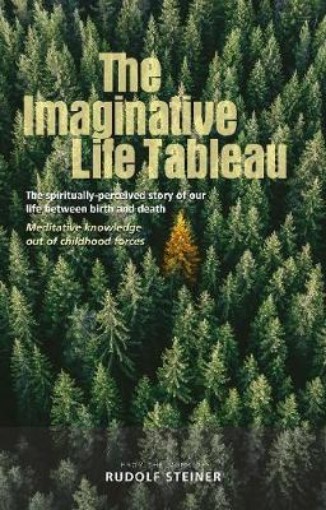 Picture of Imaginative Life Tableau