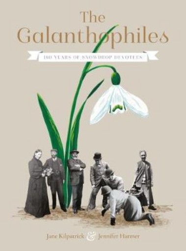 Picture of Galanthophiles