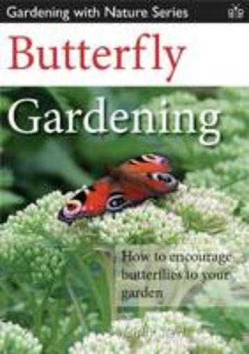 Picture of Butterfly Gardening