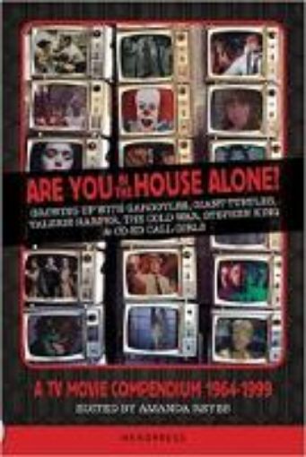 Picture of Are You In The House Alone?