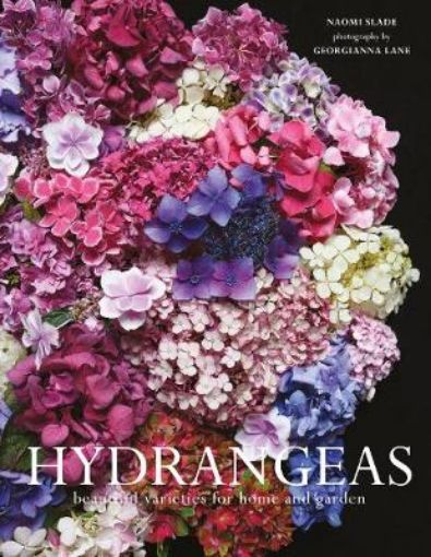 Picture of Hydrangeas