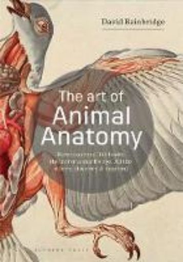 Picture of Art of Animal Anatomy