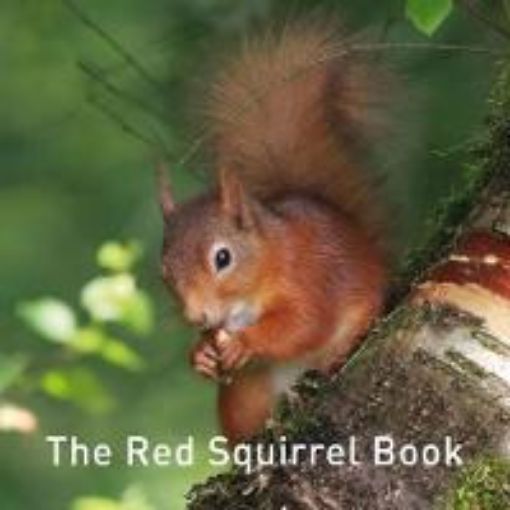 Picture of Red Squirrel Book