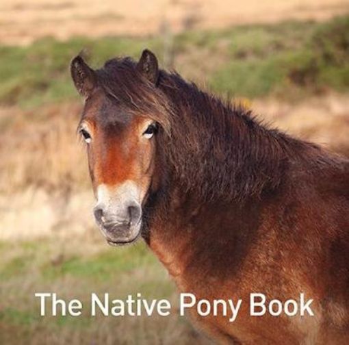 Picture of Native Pony Book