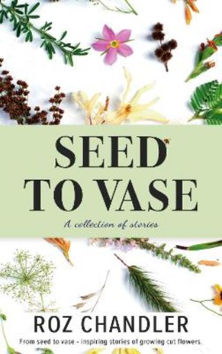 Picture of Seed To Vase