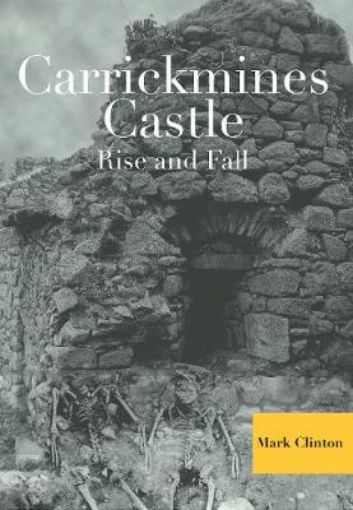 Picture of Carrickmines Castle