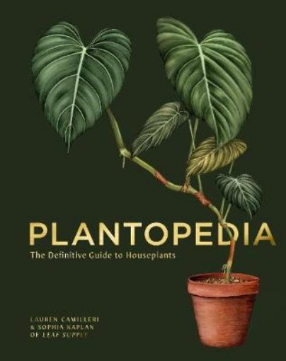 Picture of Plantopedia