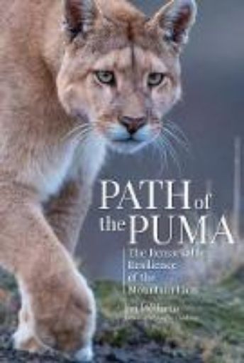 Picture of Path of the Puma
