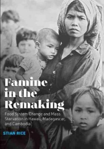 Picture of Famine in the Remaking