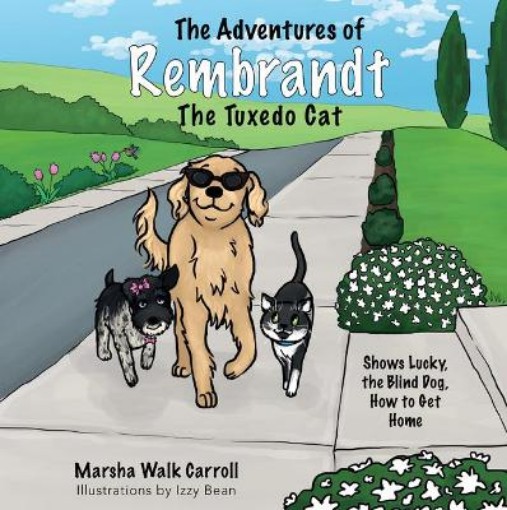Picture of Adventures of Rembrandt the Tuxedo Cat