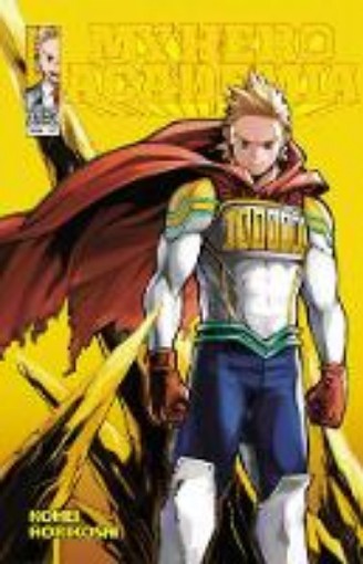 Picture of My Hero Academia, Vol. 17