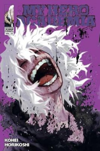 Picture of My Hero Academia, Vol. 25