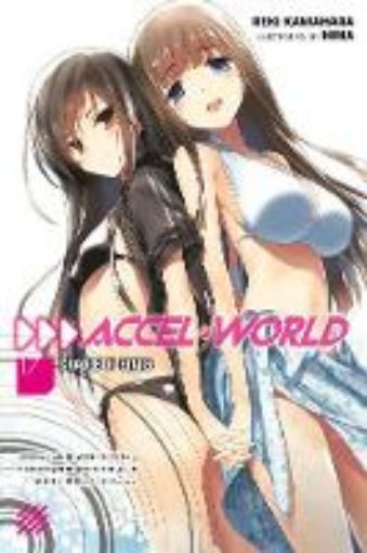 Picture of Accel World, Vol. 17 (light novel)