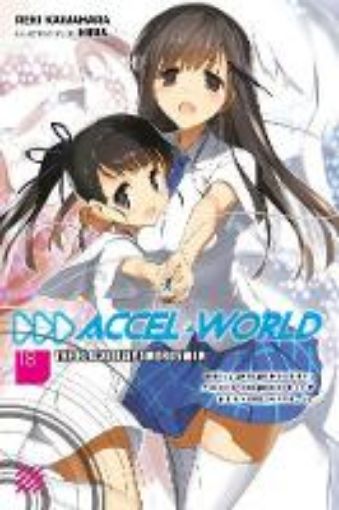 Picture of Accel World, Vol. 18 (light novel)
