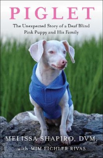 Picture of Piglet