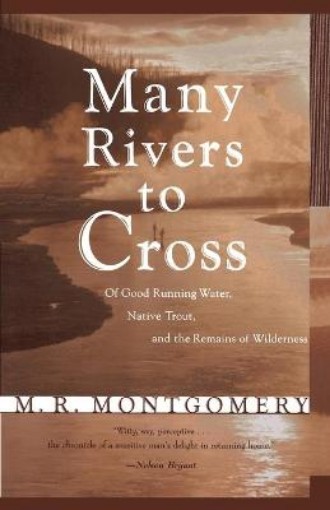 Picture of Many Rivers to Cross