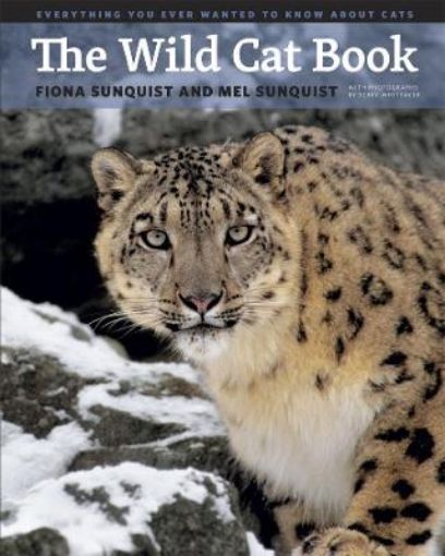 Picture of Wild Cat Book