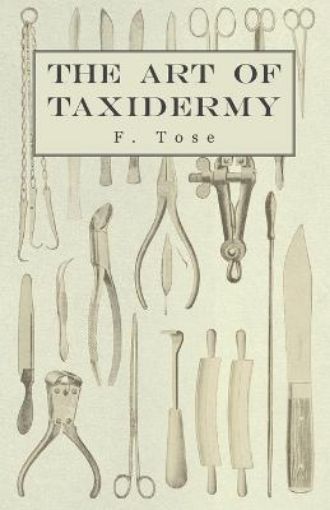 Picture of Art of Taxidermy