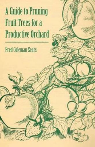 Picture of Guide to Pruning Fruit Trees for a Productive Orchard