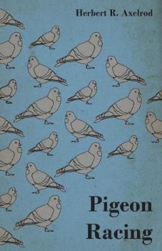 Picture of Pigeon Racing