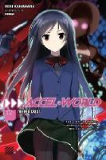 Picture of Accel World, Vol. 12