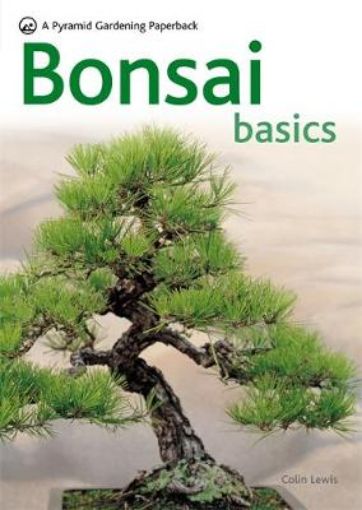 Picture of Bonsai Basics