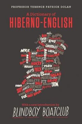 Picture of Dictionary of Hiberno English