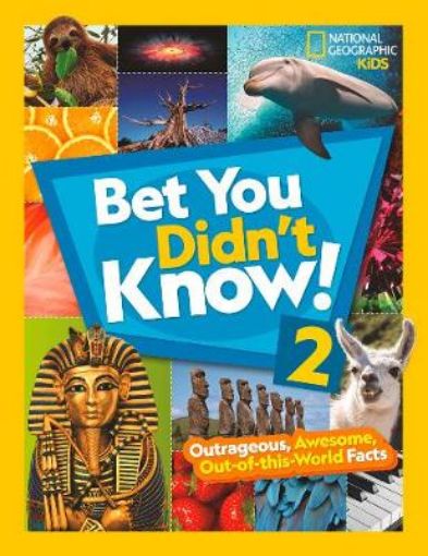 Picture of Bet You Didn't Know! 2