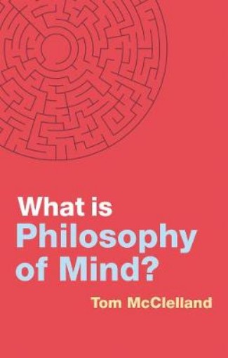 Picture of What is Philosophy of Mind?