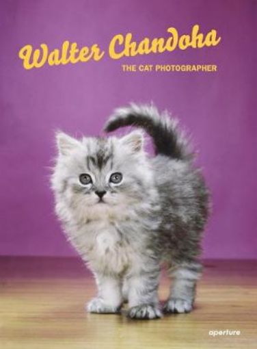 Picture of Walter Chandoha: The Cat Photographer