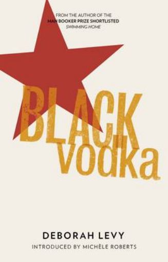 Picture of Black Vodka
