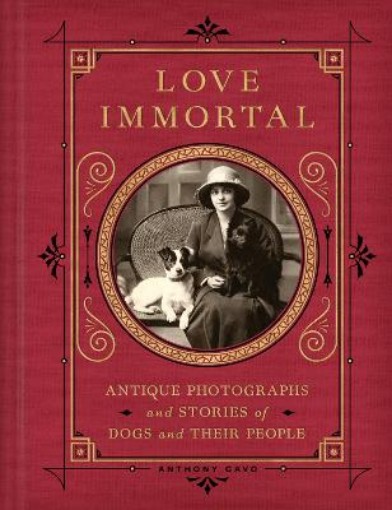 Picture of Love Immortal