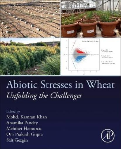 Picture of Abiotic Stresses in Wheat