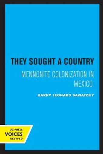 Picture of They Sought a Country