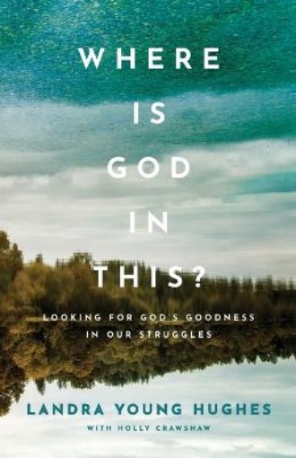 Picture of Where Is God in This? - Looking for God`s Goodness in Our Struggles