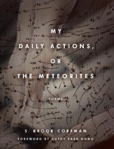 Picture of My Daily Actions, or The Meteorites