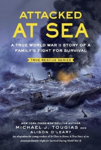 Picture of Attacked at Sea