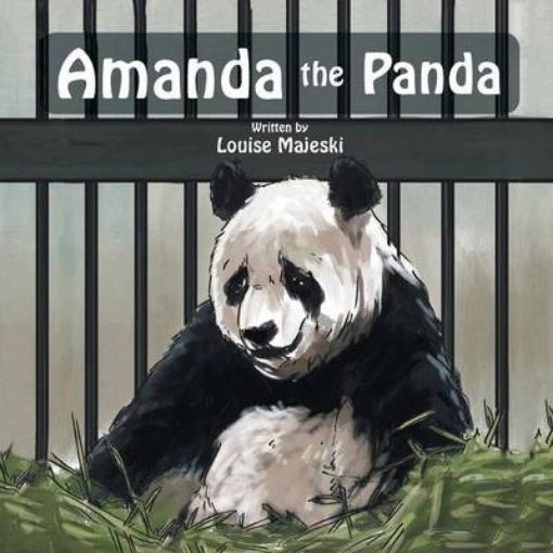 Picture of Amanda the Panda