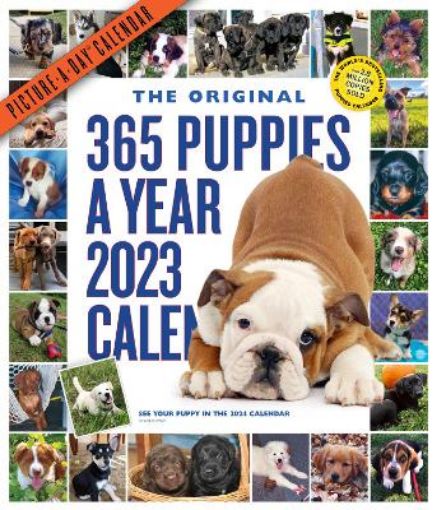 Picture of 365 Puppies-A-Year Picture-A-Day Wall Calendar 2023