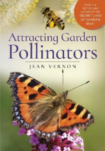 Picture of Attracting Garden Pollinators