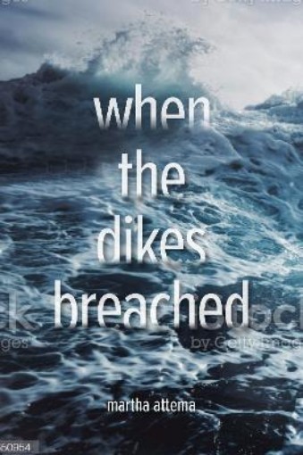 Picture of When the Dikes Breached
