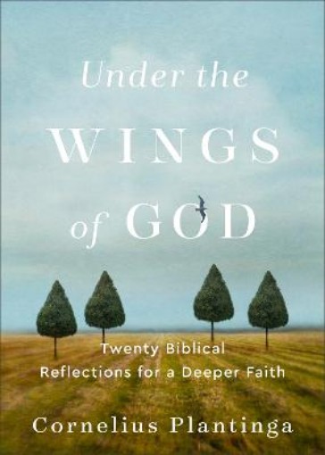 Picture of Under the Wings of God - Twenty Biblical Reflections for a Deeper Faith