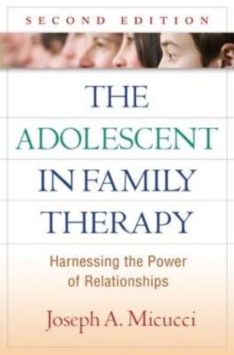 Picture of Adolescent in Family Therapy