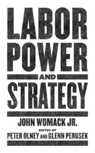 Picture of Labor Power And Strategy